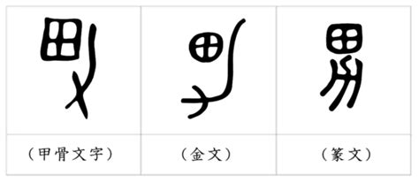 男 象形文字|「男」の漢字の成り立ちには男らしさが詰まっている＜漢字の意。